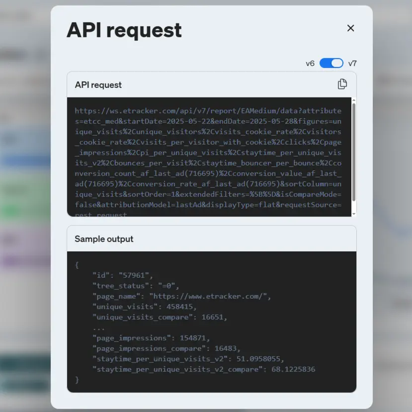 Screenshot of the display of the API query when you call it up via a report